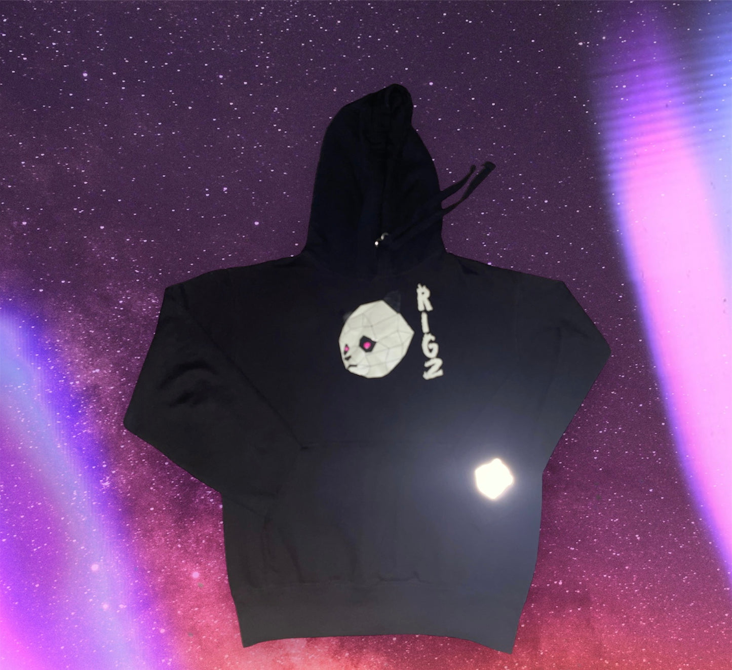 RIGz intro Hoodie