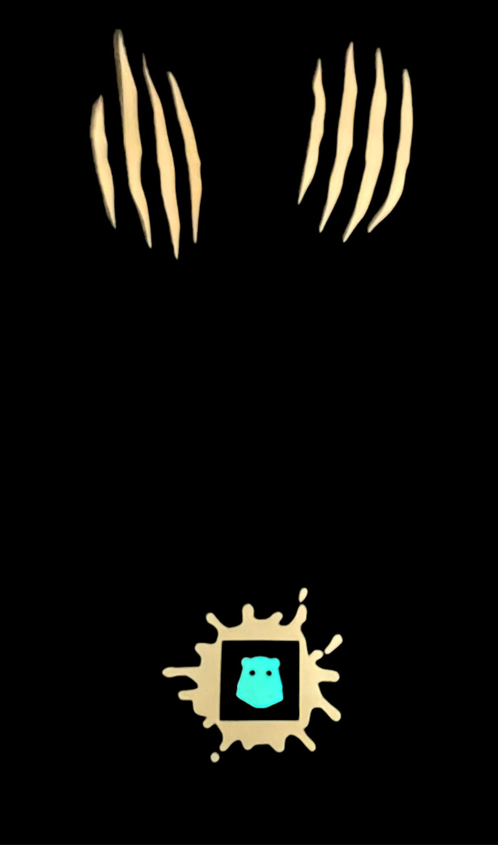 --COz-- Splat-Network