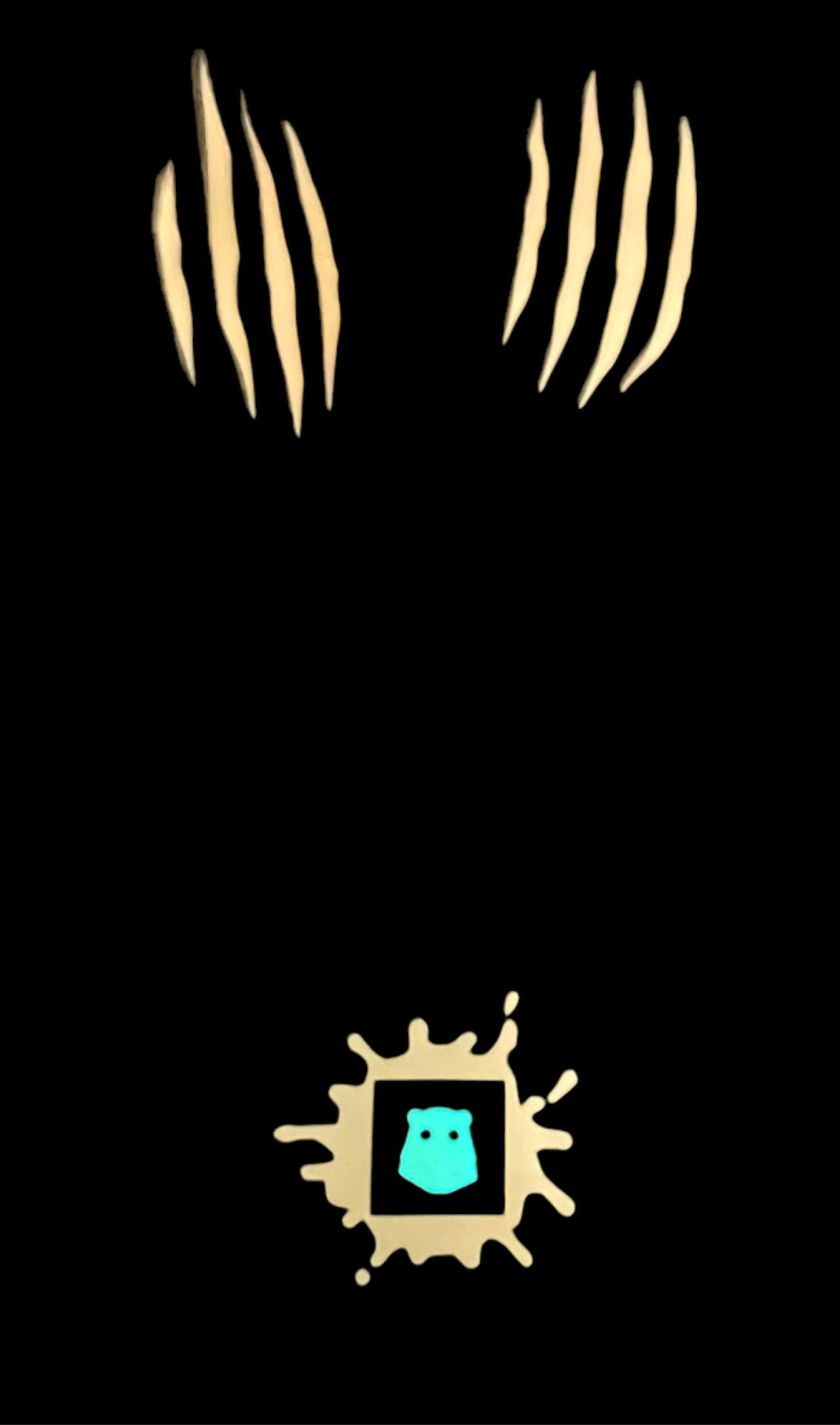 --COz-- Splat-Network